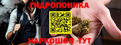 прущие крисы Донской
